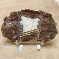 Geode (Baker) Polished Slice (Luna County, New Mexico)
