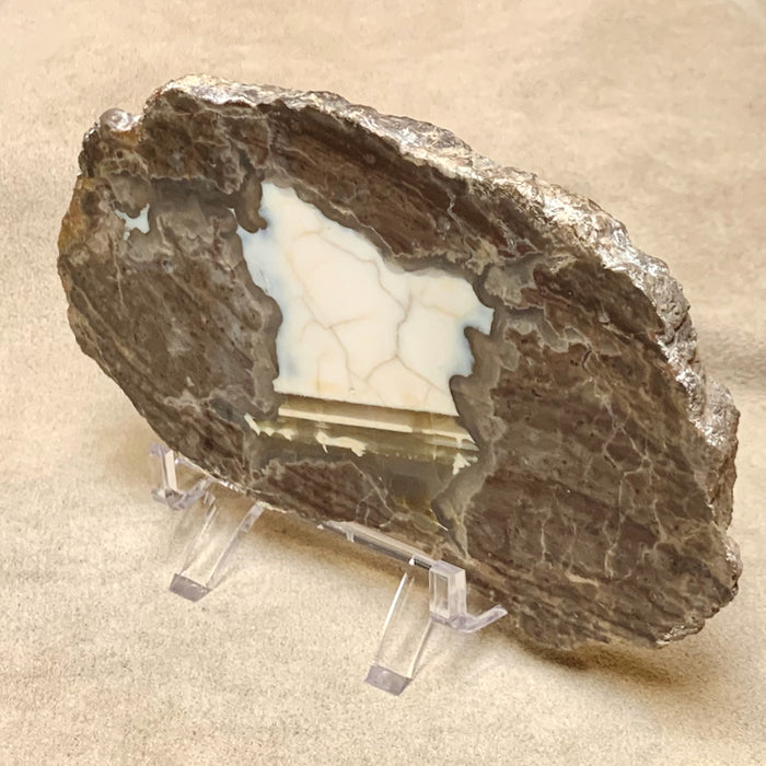 Baker Geode Polished Slice (Luna County, New Mexico)