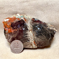 Petrified Wood (China)