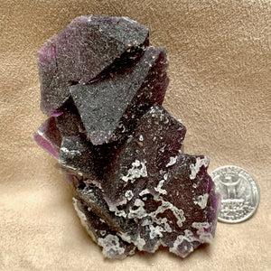 Purple, Green and Blue Fluorite (Luna Co., New Mexico)