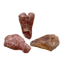 Fossil Rugose (Horn) Coral (Devonian, Morocco)