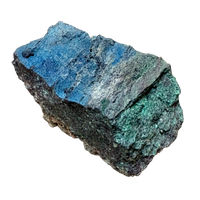 Petrified Wood, "Nacimiento" (Triassic, Sandoval Co., New Mexico)