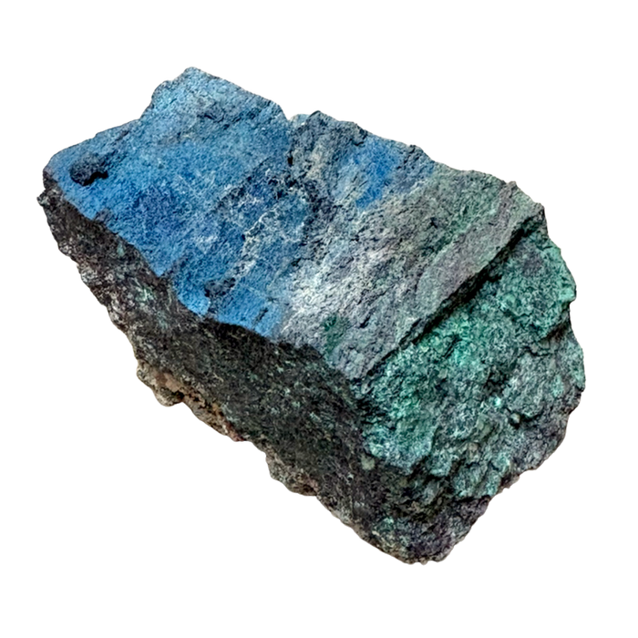 Petrified Wood, "Nacimiento" (Triassic, Sandoval Co., New Mexico)