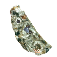 Jasper, Rainforest (Australia)