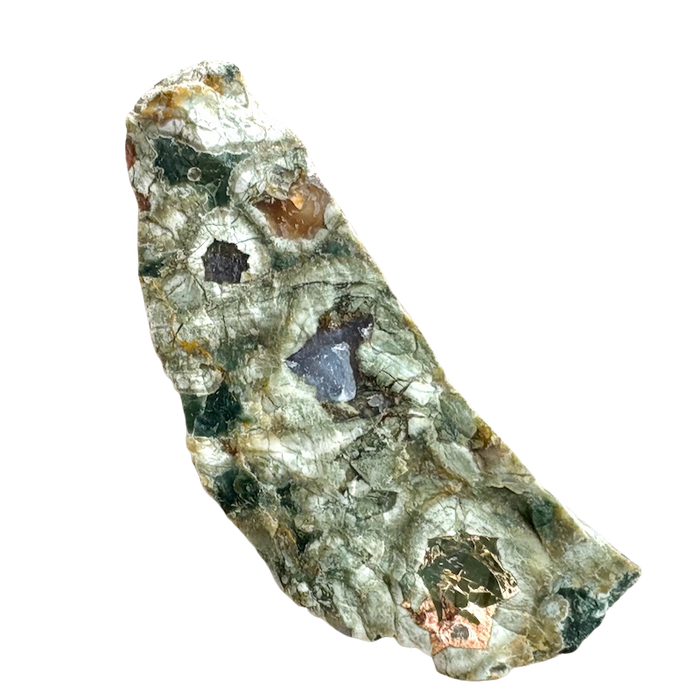 Jasper, Rainforest (Australia)