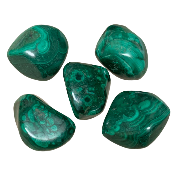 Malachite Polished Pebble (Democratic Republic of Congo)