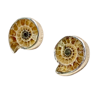 Ammonite Slice and Sterling Silver Post Earrings