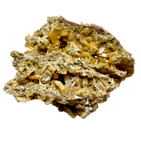 Wulfenite (Dona Ana County, New Mexico)
