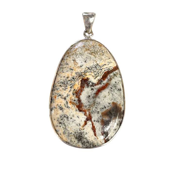 Coprolite in Sterling Silver Pendant