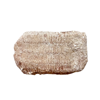 Fossil Eagle Ray Mouth Plate (Paleocene, Morocco)