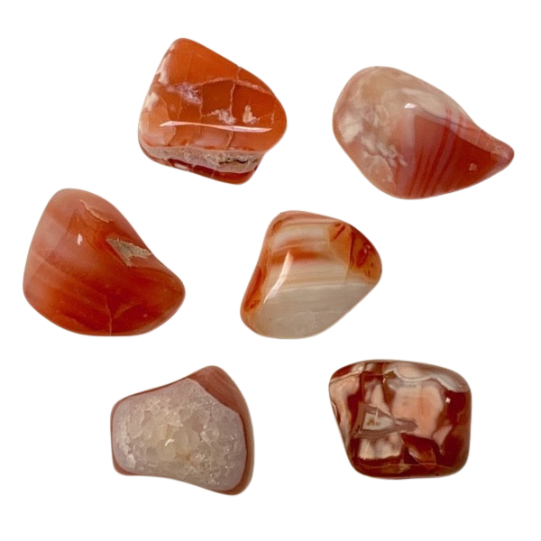 Carnelian Polished Pebble (Sierra County, New Mexico)
