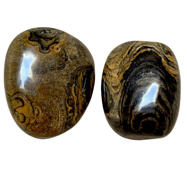 Stromatolite Polished Pebble