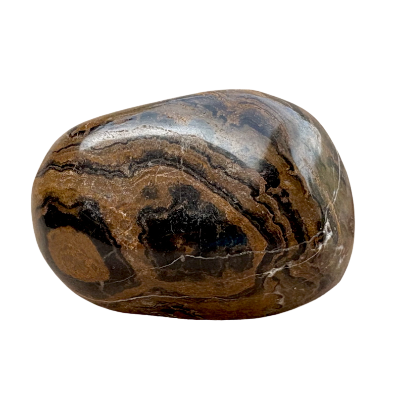 Stromatolite (Bolivia)