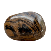 Stromatolite (Bolivia)