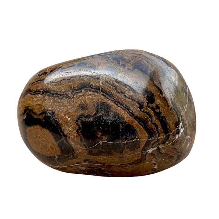 Stromatolite (Bolivia)