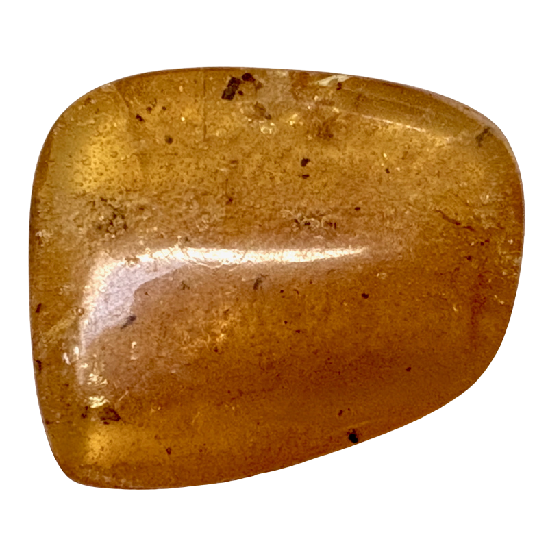 Fossil Copal with Insects(Colombia)
