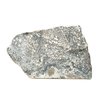 Silver Ore (Alhambra Mine, Grant Co., New Mexico)