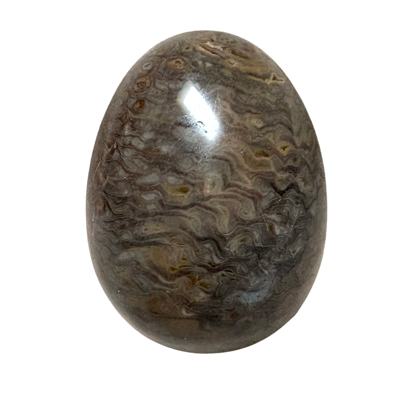 Fossilized Pine Cone Polished Egg (Africa)