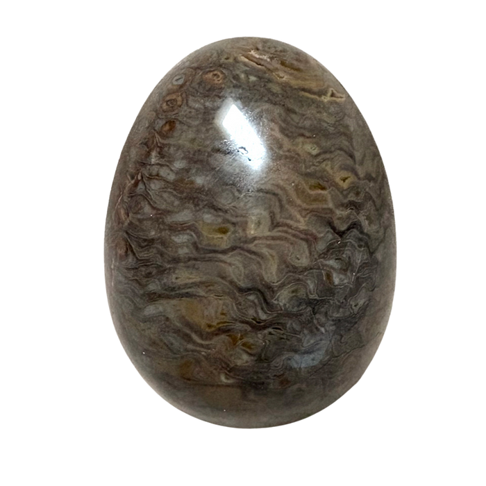 Fossilized Pine Cone Polished Egg (Africa)