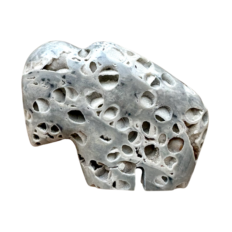 Buffalo Fetish Carving in Fossil Limestone
