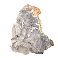 Petrified Wood (China)