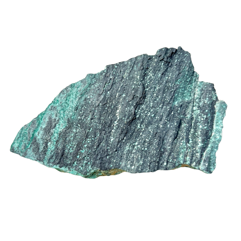 Petrified Wood, "Nacimiento" (Triassic, Sandoval Co., New Mexico)