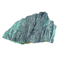 Petrified Wood, "Nacimiento" (Triassic, Sandoval Co., New Mexico)