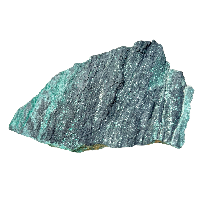 Petrified Wood, "Nacimiento" (Triassic, Sandoval Co., New Mexico)