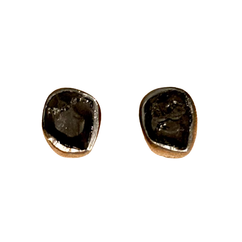 Shungite Rough Stud Earrings