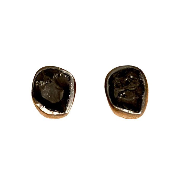 Shungite Rough Stud Earrings