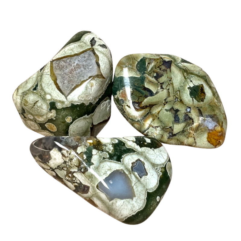 Jasper, Rainforest, Polished Pebble (Australia)