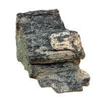 Petrified Wood, "Nacimiento" (Triassic, Sandoval Co., New Mexico)