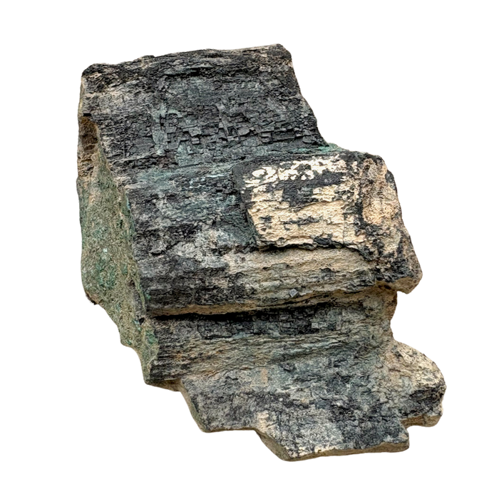 Petrified Wood, "Nacimiento" (Triassic, Sandoval Co., New Mexico)