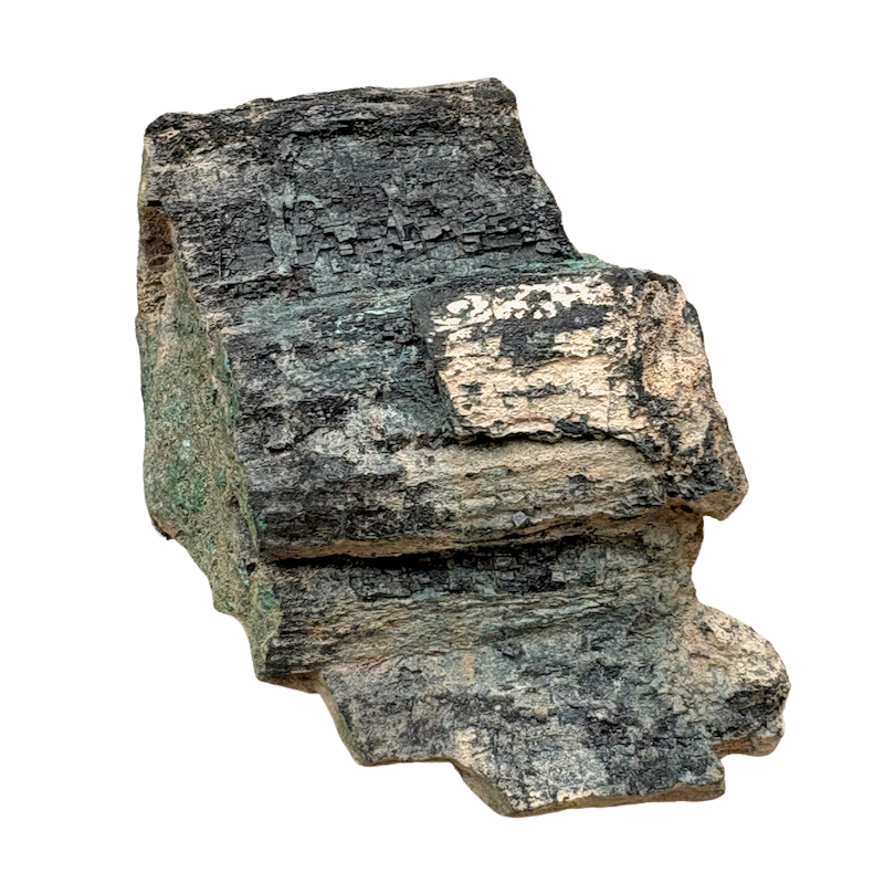 Petrified Wood, "Nacimiento" (Triassic, Sandoval Co., New Mexico)