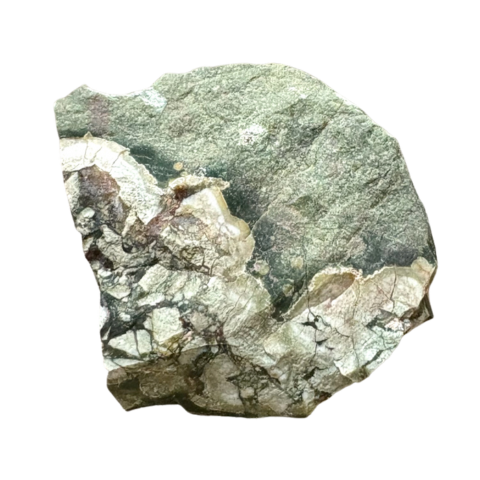 Jasper, Rainforest (Australia)