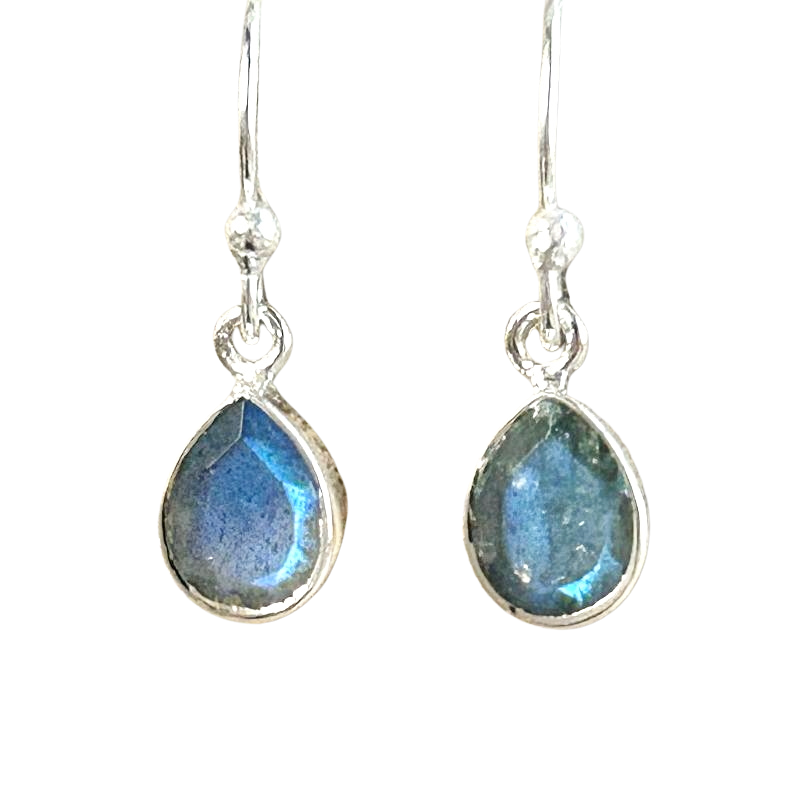 Labradorite and Sterling Silver Dangle Earrings