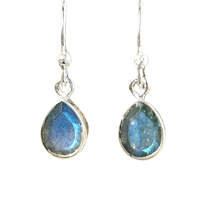 Labradorite and Sterling Silver Dangle Earrings