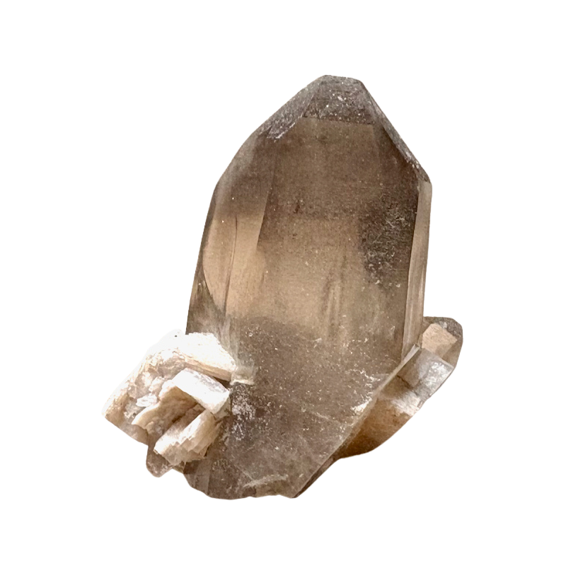 Smoky Quartz Crystal with Albite (Dona Ana Co., New Mexico)