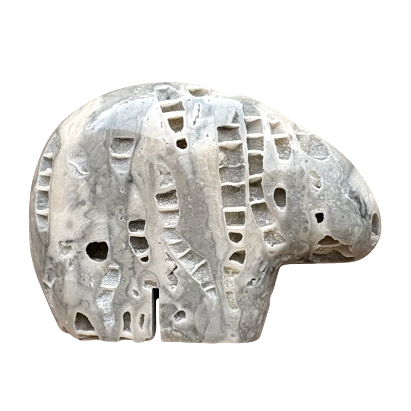 Bear Fetish Carving in Fossil Limestone