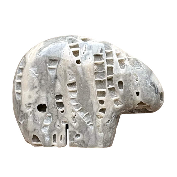 Bear Fetish Carving in Fossil Limestone