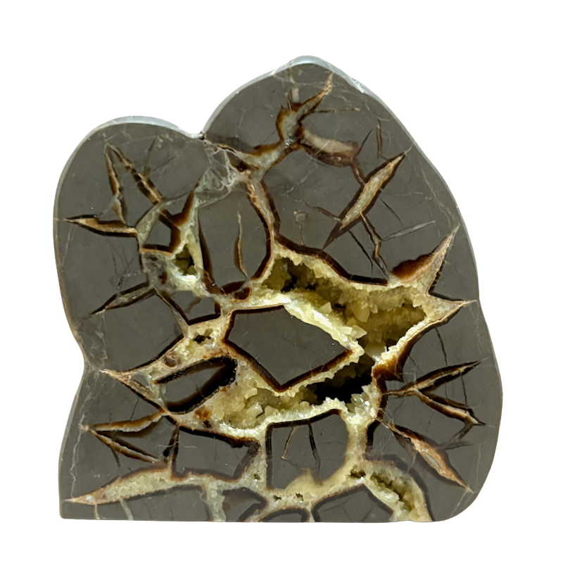 Septarian Nodule Standup (Utah)