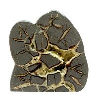 Septarian Nodule Standup (Utah)