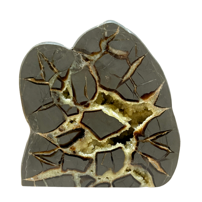 Septarian Nodule Standup (Utah)