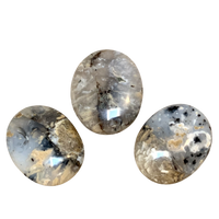 Agate (Dendritic) Polished Palmstone