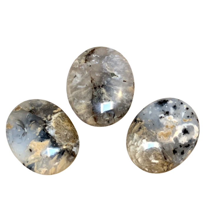 Agate (Dendritic) Polished Palmstone