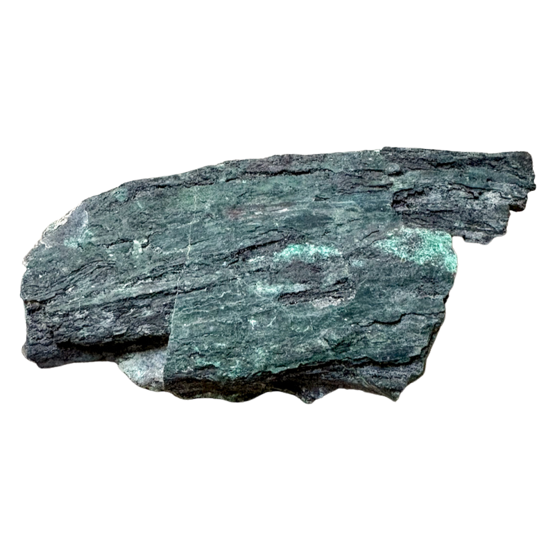 Petrified Wood, "Nacimiento" (Triassic, Sandoval Co., New Mexico)