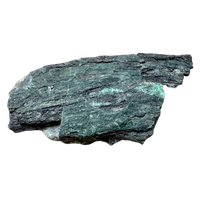 Petrified Wood, "Nacimiento" (Triassic, Sandoval Co., New Mexico)