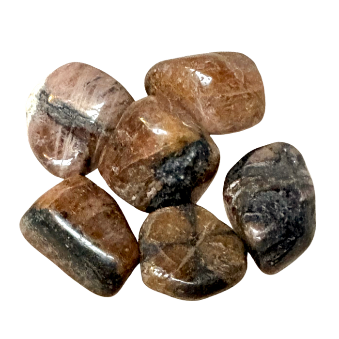 Chiastolite Polished Pebble