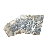 Silver Ore (Alhambra Mine, Grant Co., New Mexico)