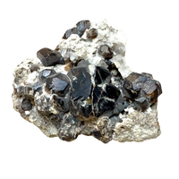 Garnet, Andradite (Santa Fe County, New Mexico)